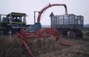 Fotografie: Futtererntetechnik, Ganzpflanzensilage, Rückfahreinrichtung, Feldhäcksler, Heckanbau, Zweiachsanhänger