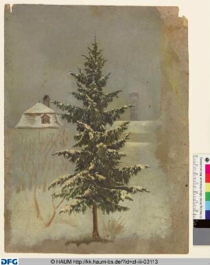 Nadelbaum vor Winterlandschaft