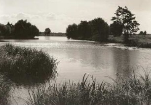Dornburg. Verlandender Altarmrest in der Elbniederung