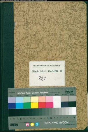 Hypothekenbuch des Gerichts Hemer [von Brabeck]: Ober- und Nieder-Hemer, Becke, Landhausen, Westig, Frönsberg, Sundwig
