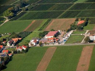 Altdorf (Pfalz)