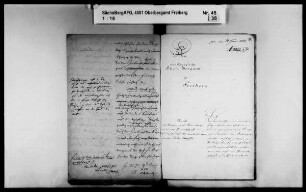 Friedrich Erbstolln bei Berggießhübel