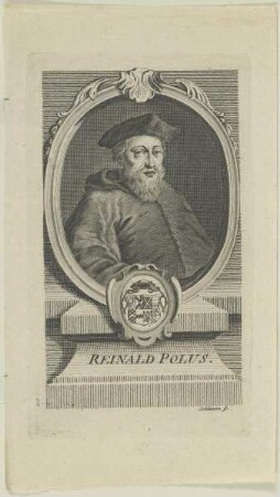 Bildnis des Reinald Polus
