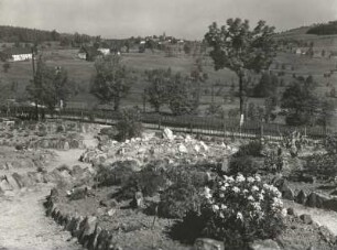 Schellerhau. Pflanzengarten (heute Botanischer Garten Schellerhau) mit Blick auf Schellerhau. Im Vordergrund Stock von Anemone narcissiflora