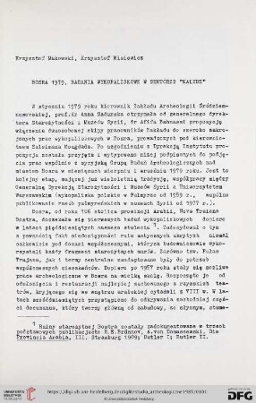 Bosra 1979, badania wykopaliskowe w sektorze "kalybe"