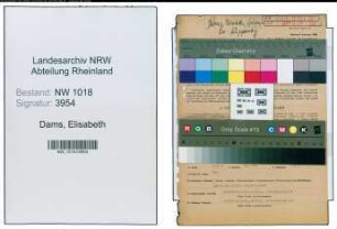 Entnazifizierung Elisabeth Dams , geb. 26.10.1903 (Lehrerin)