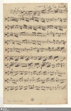 Viola da Gamba.