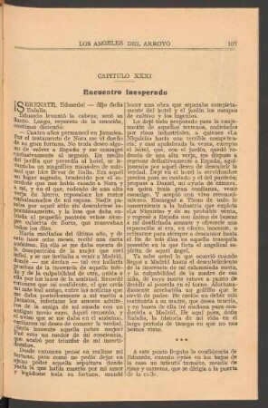 Capítulo XXXI : Encuentro inesperado