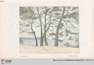 [Heft 18 (15. Juni 1903)]