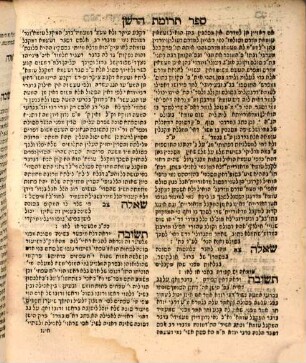 Sefer Terumat ha-deshen : ʿim pesaḳim u-ketavim
