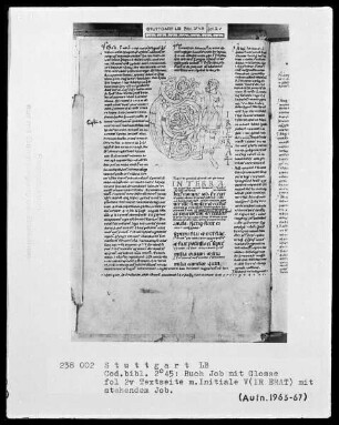 Buch Job mit Glosse — Initiale V (ir erat) mit stehendem Job, Folio 2verso
