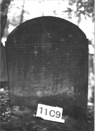 Grabstein 1109 (Index: 99899780) Material: Sandstein Zustand: angewittert Maße HxBxT: 76x62x8 cm Beschreibung: Stele mit etwas eingezogenem Segmentbogenabschluss: Grabstein 1109