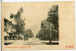 Ontario, Kalifornien. Euclid Ave., Showing Snow Peak