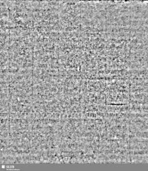 Lilie / CVC = S.1/2