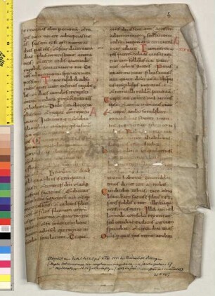 Biblia (Tb 9,3-11,9) - Studienbibliothek Dillingen XV Fragm. 4