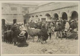 Quechua-Indianer und Lamas auf dem Markt in Potosí