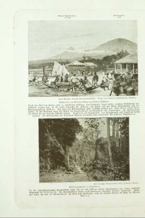 Küstenurwald in Kamerun