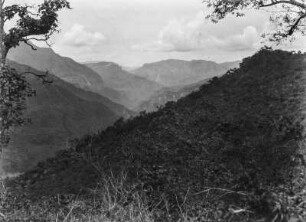 Gebirgslandschaft mit Vegetation (Bolivienreisen Schmieder 1924-1925)
