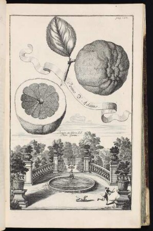 p. 168 Fontain in Herrn J. J. Peller Garten. - Peller (Familie), Garten, Johannisstraße, Nürnberg- Sankt Johannis