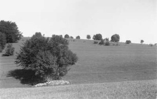 Parklandschaft : Parklandschaft auf einer Hochfläche der Schwäbischen Alb bei Pfullingen