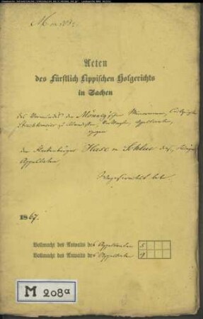 Mönnig, Minorenne / Vormund Struchtemeier in Alverdissen gegen Hase modo Schlue Nr. 38 zu Alverdissen - Wegeservitut