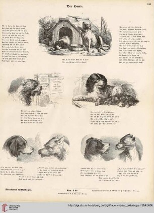 Nro. 147