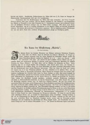 3: Die Ruine der Wasserburg "Madela"