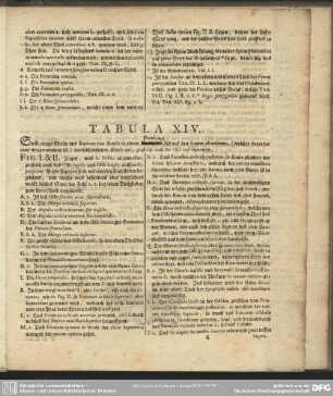 Tabula XIV.