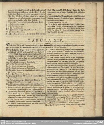 Tabula XIV.