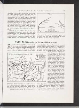 XVIII. Die Württemberger im rumänischen Feldzuge