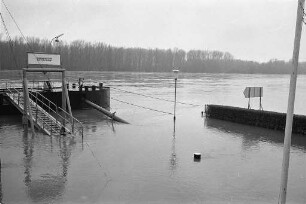 Hochwasser des Rheins mit einem Wasserstand von 7,75 m