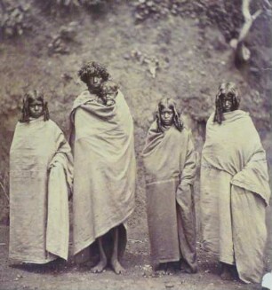 Todas, Nilgiri