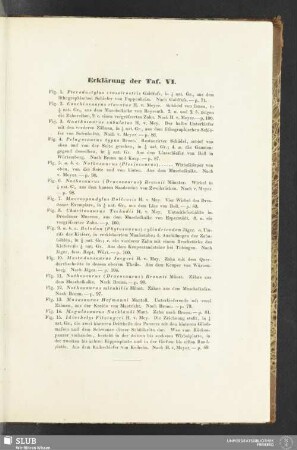Erklärung der Taf. VI