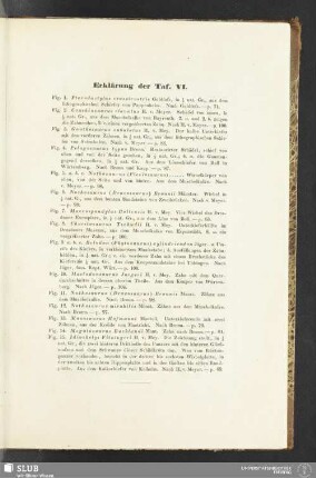 Erklärung der Taf. VI