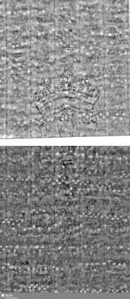 Lilienschild + IESV / LW = S.19/20+25/26