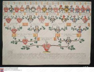 Ahnenprobe des Christoph Ludwig Friedrich Vogt v. Rieneck. - ausgefertigt 1770 September 12, Pergament