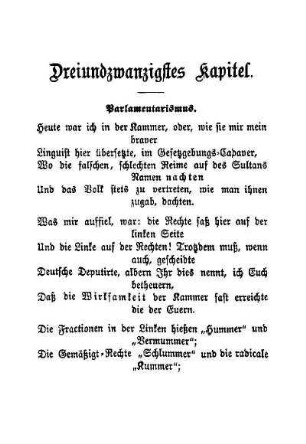 Dreiundzwanzigstes Kapitel. Parlamentarismus