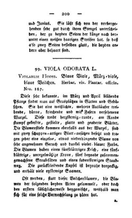 99. Viola odorata L.