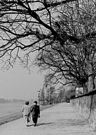 Dresden-Pillnitz, Spaziergängerinnen am Elbufer