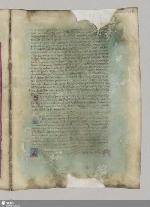 Remedia periculo affectis. Cap. VIII.
