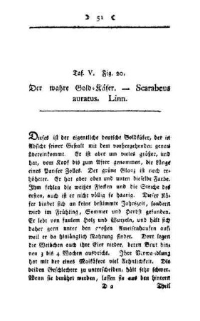 ¬Der¬ wahre Gold-Käfer : Scarabeus auratus, Linn ; Taf. V, Fig. 20