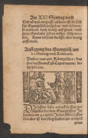 Außlegung des Evangelii/ am 21. Sontag nach Trinitatis.