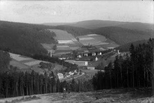 Die Pilz-Fabrik