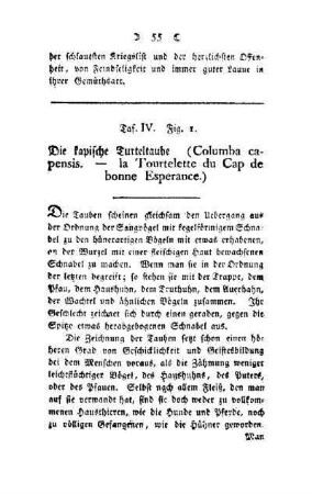 ¬Die¬ kapische Turteltaube : (Columba capensis - la Tourtelette du Cap de bonne Esperance) ; Taf. IV, Fig. 1