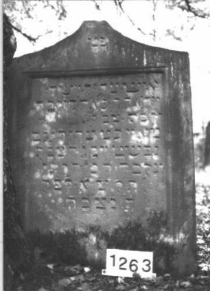 Grabstein 1263 (Index: 99900085) Material: Sandstein Zustand: angewittert Maße HxBxT: 119x88x12 cm Beschreibung: Stele mit geschweiftem Dreiecksabschluss, im Bogenfeld Ranken, Rahmen mit zart eingeritztem Zahnfries Symbolik: Zahnfries, Ranken: Grabstein 1263