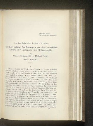 Die Karyokinese der Protozoen und der Chromidialapparat der Protozoen- und Metazoenzelle.