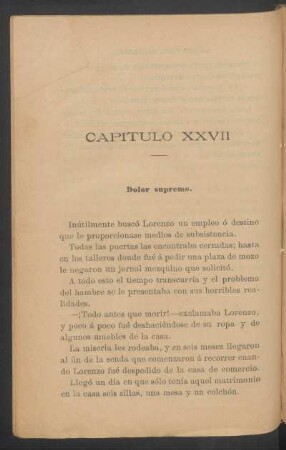 Capítulo XXVII - Dolor supremo.