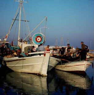 Paros. Fischerboote im Hafen. K1