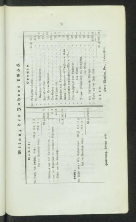 Bilanz des Jahres 1855.