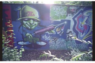 STC" Stui | GRAFF JUNkies | LASS BLoSS Die FiNGER VoN DeM ZeUG